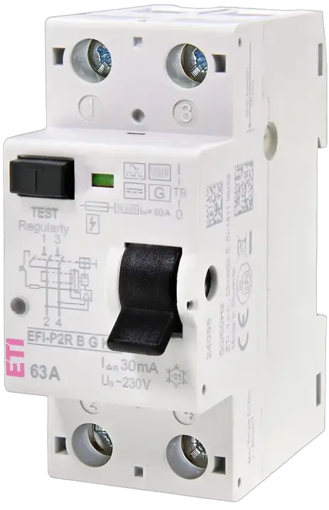 Slika EFI-P2R B G/KV 80/0.03
