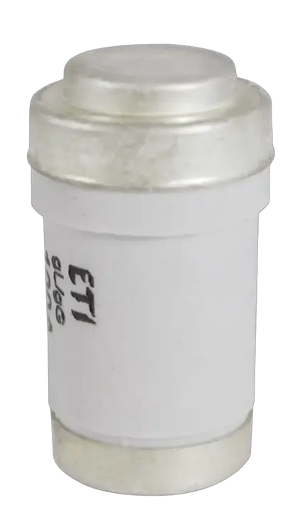 Slika D03 gG 100A/400V