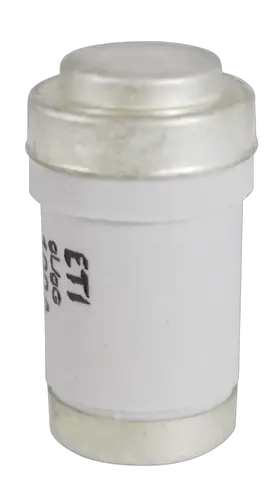 Slika D03 gG 100A/400V