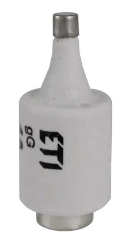 Slika DII DZ/gF 2A/500V