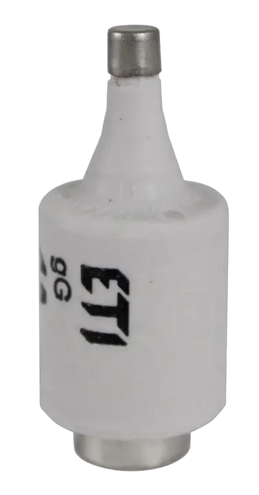 Slika DII gG 13A/500V