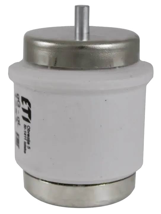 Slika DV gG 160A/500V