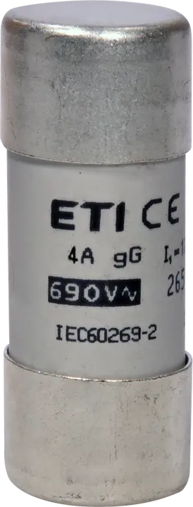 Slika CH22x58 gG 4A/690V