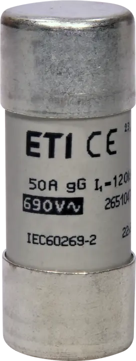 Slika CH22x58 gG 50A/690V