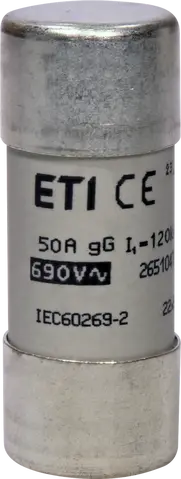 CH22x58 gG 50A/690V