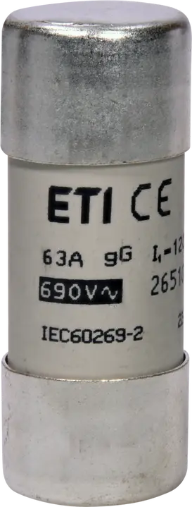 Slika CH22x58 gG 63A/690V
