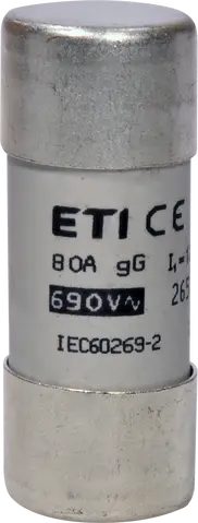 CH22x58 gG 80A/690V