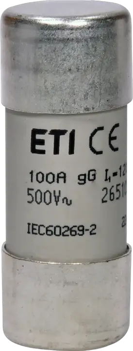 Slika CH22x58 gG 100A/500V