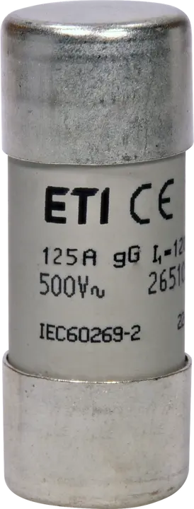 Slika CH22x58 gG 125A/500V