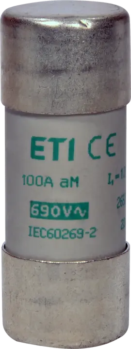 Slika CH22x58 aM 100A/500V