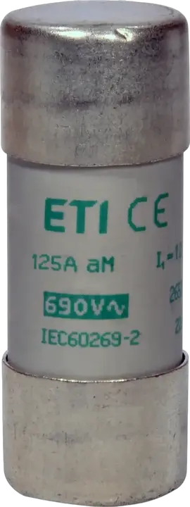 Slika CH22x58 aM 125A/500V