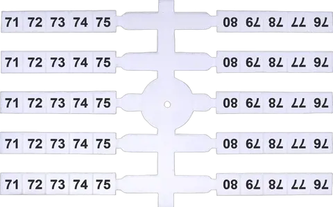 Slika EO3 71-80 (x200)
