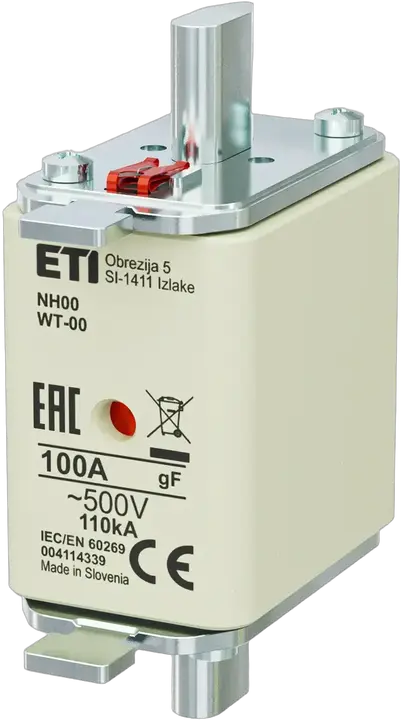 Slika NH00 gF 100A/500V