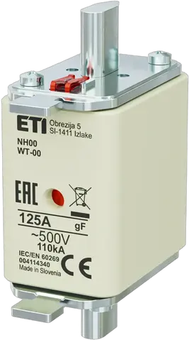 Slika NH00 gF 125A/500V