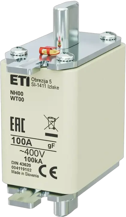Slika NH00 gF 100A/400V
