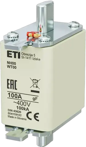Slika NH00 gF 100A/400V