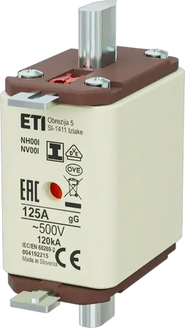 NH00/I gG 125A/500V