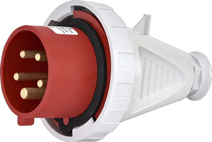 Slika EVH 1653