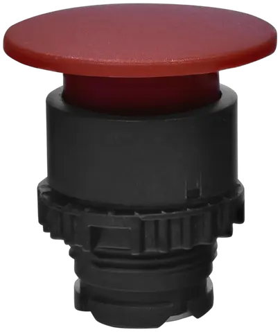 NSE-PBM-R