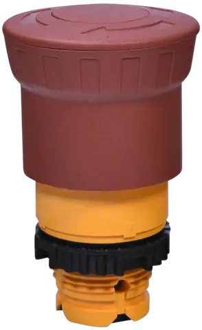 NSE-PBM-T-R