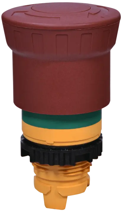 Slika NSE-PBM-T-RGM
