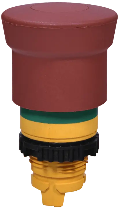 Slika NSE-PBM-P-RGM