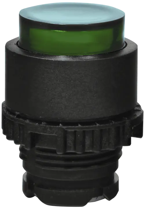 Slika NSE-PBPI-G